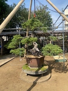 三代さん８