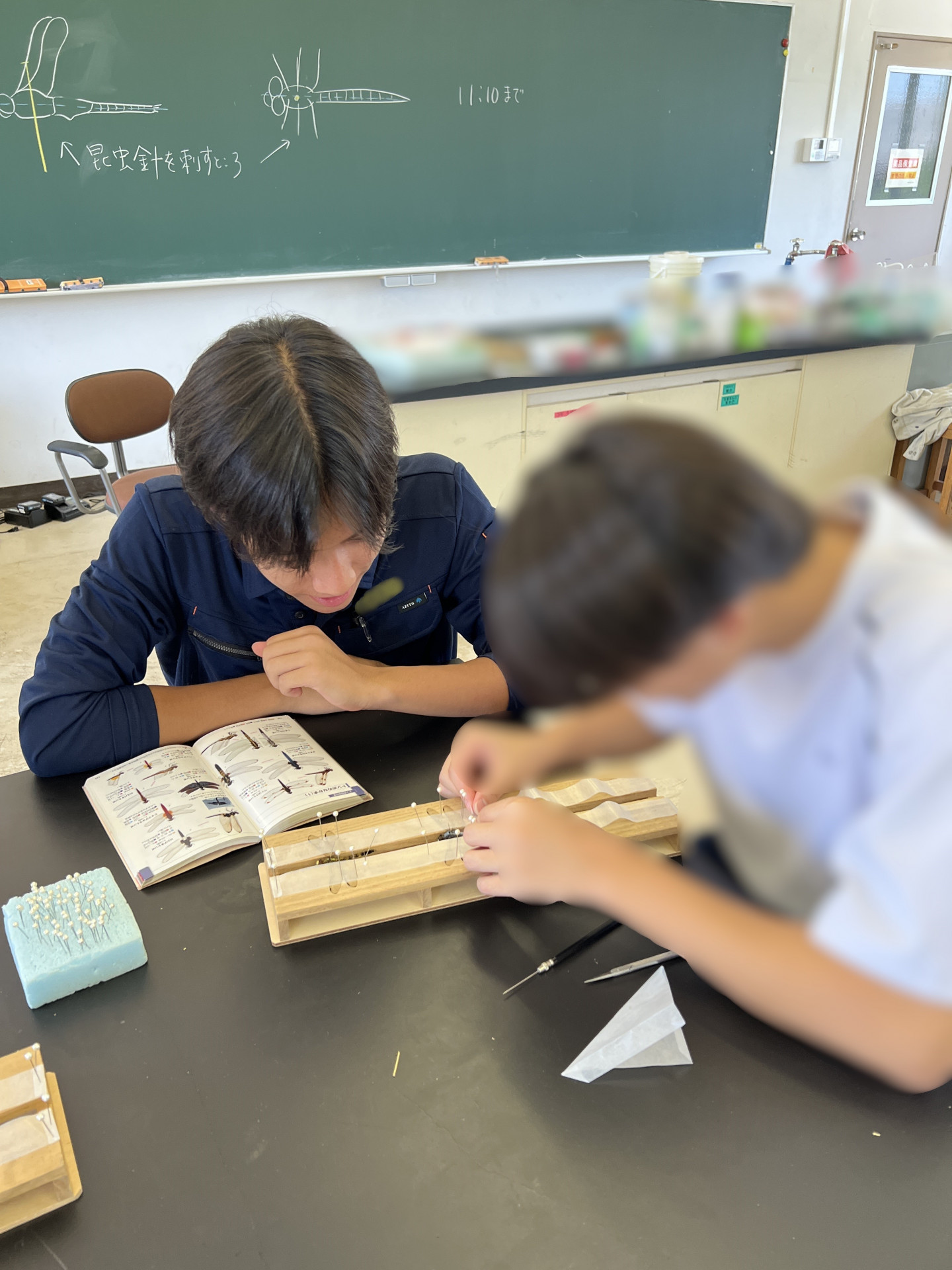 体験入学