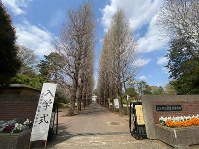 入学式9