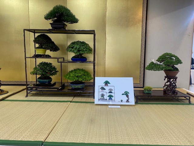 小品盆栽展３