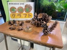 画像9