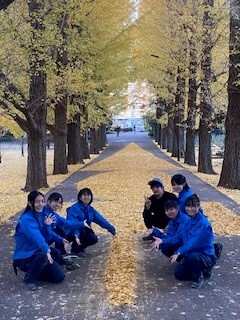 落ち葉３