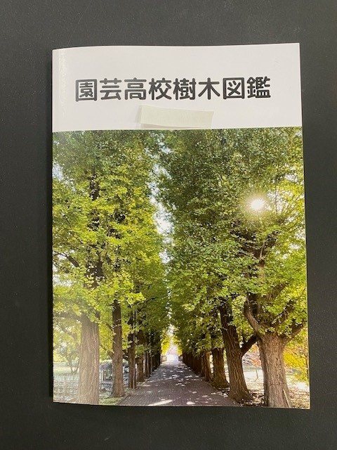 課題研究３