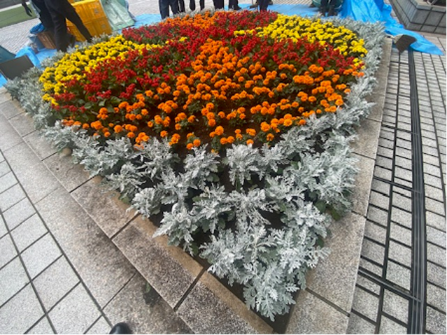 都庁4