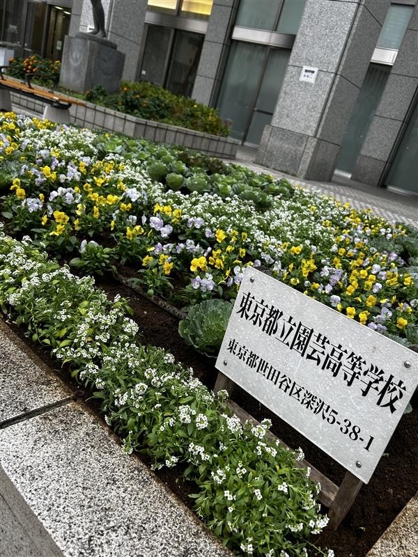都庁花壇１