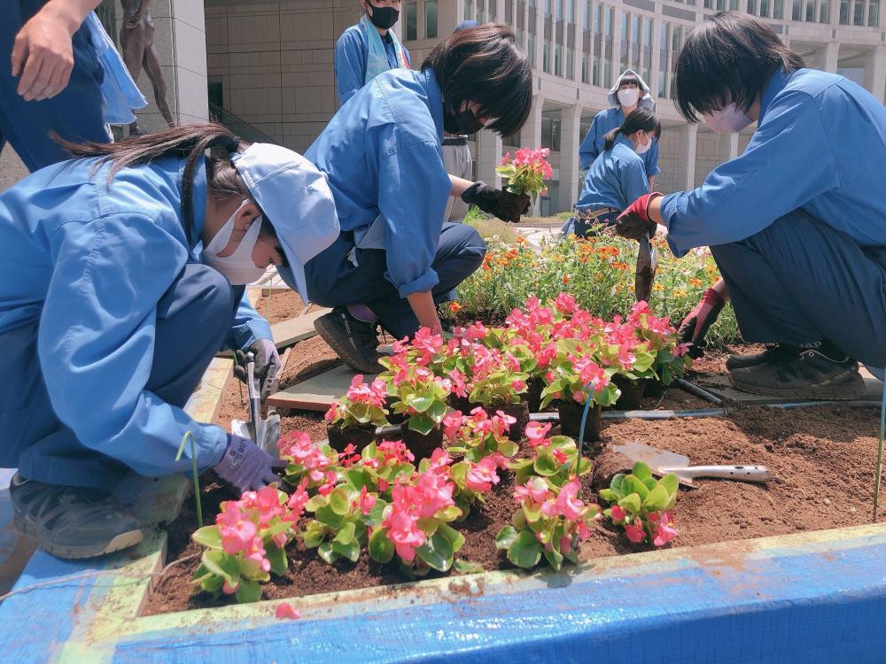 植栽の様子