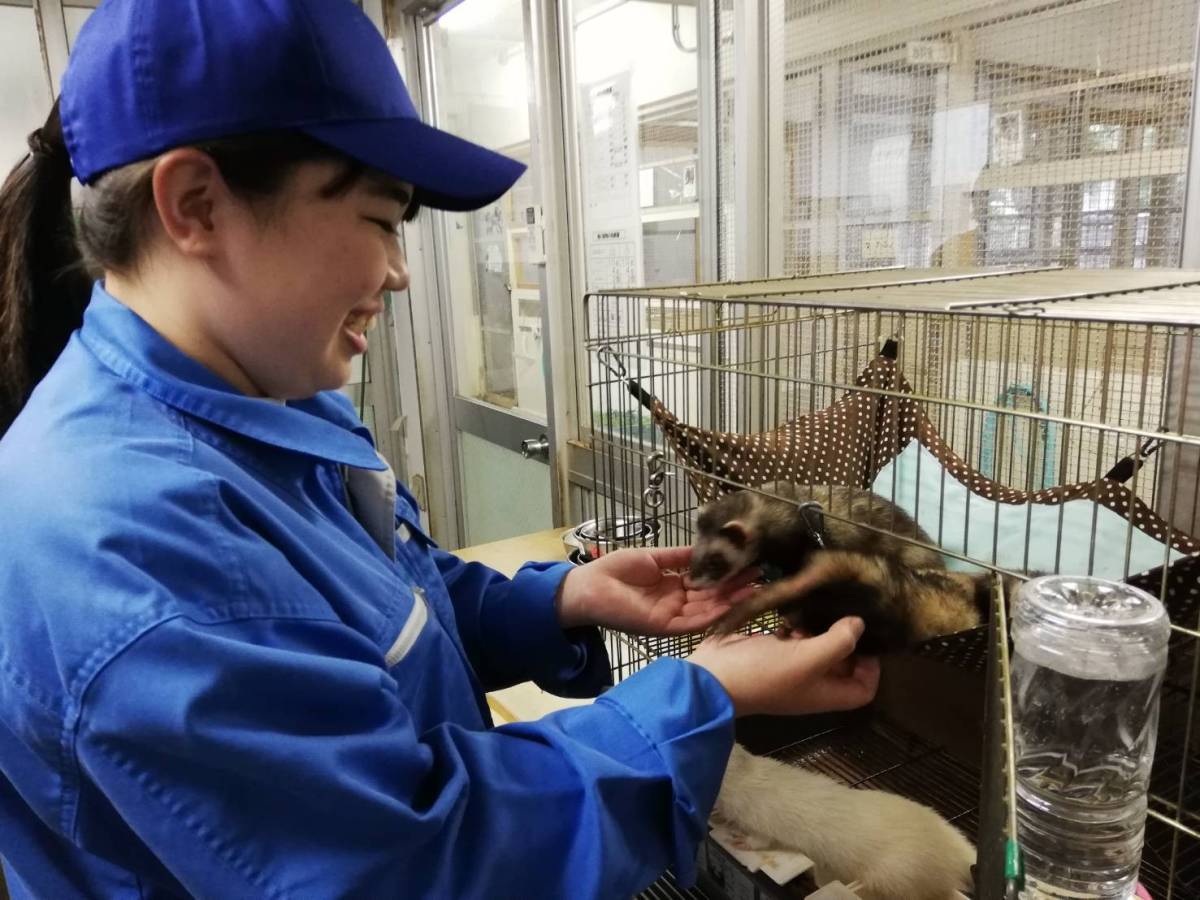 動物科 ｜ 東京都立園芸高等学校