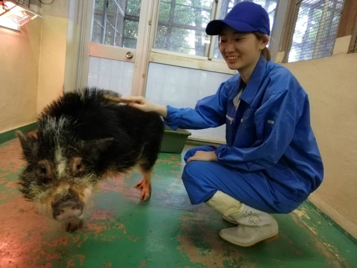 動物科 ｜ 東京都立園芸高等学校