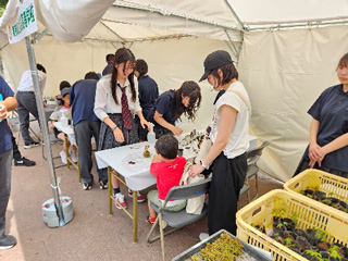 gardening_fair-2