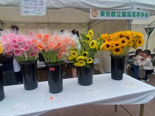 gardening_fair-3