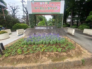 gardening_fair-8