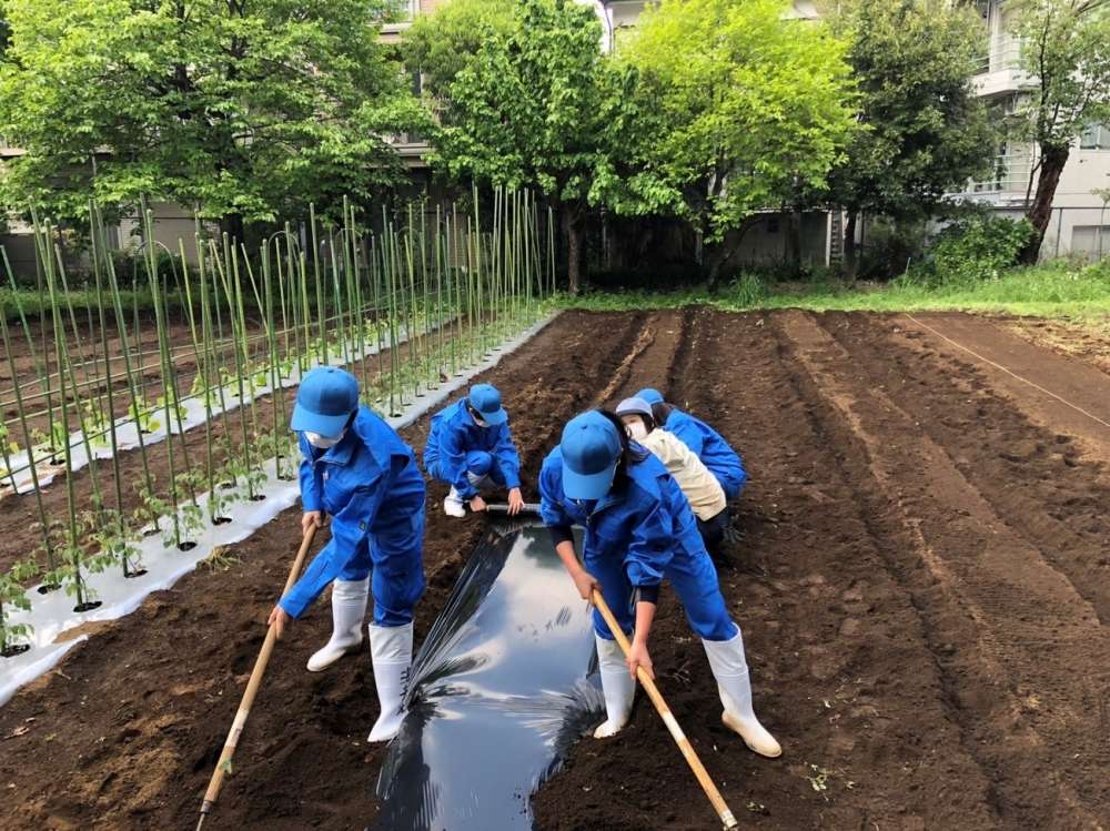 動物科の授業紹介16