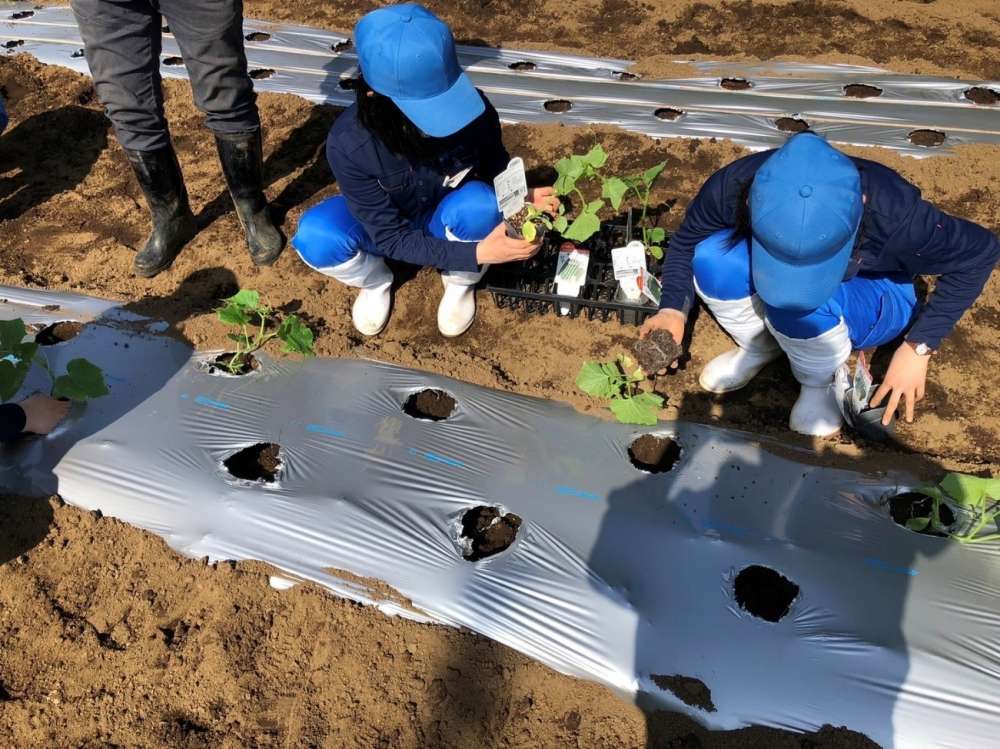 動物科の授業紹介17