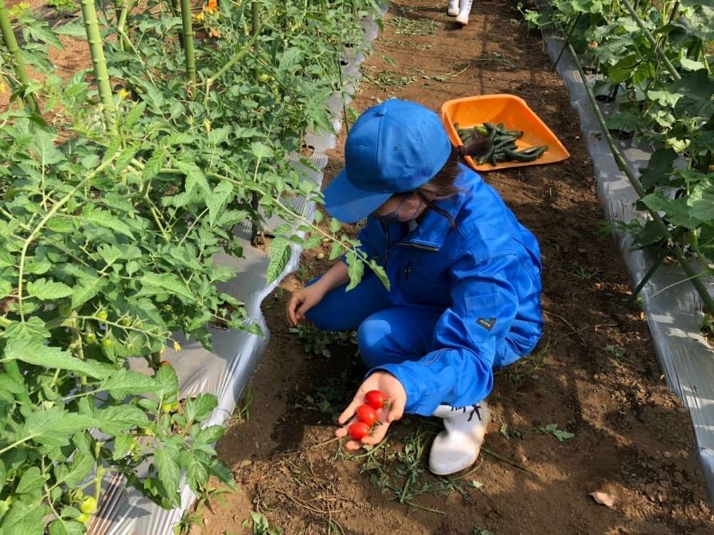 動物科の授業紹介21