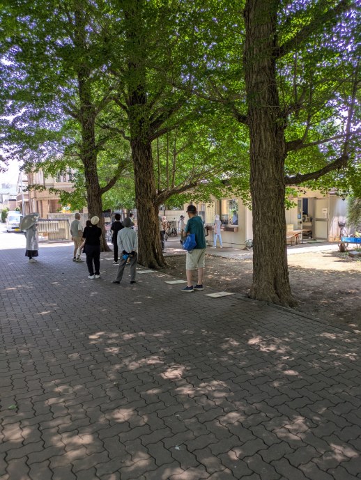 PXL_20250620_034357604
