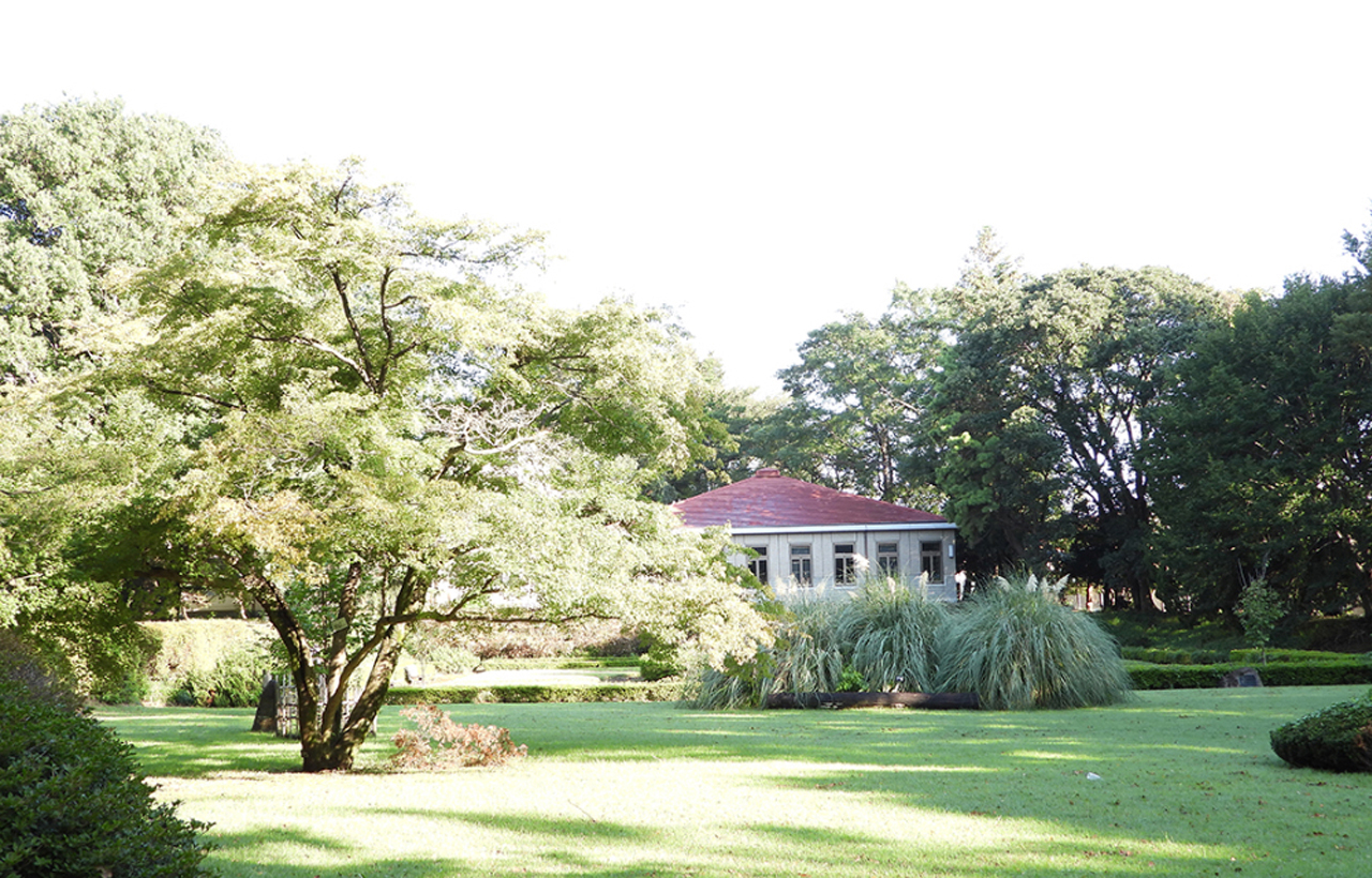 図書館と庭園