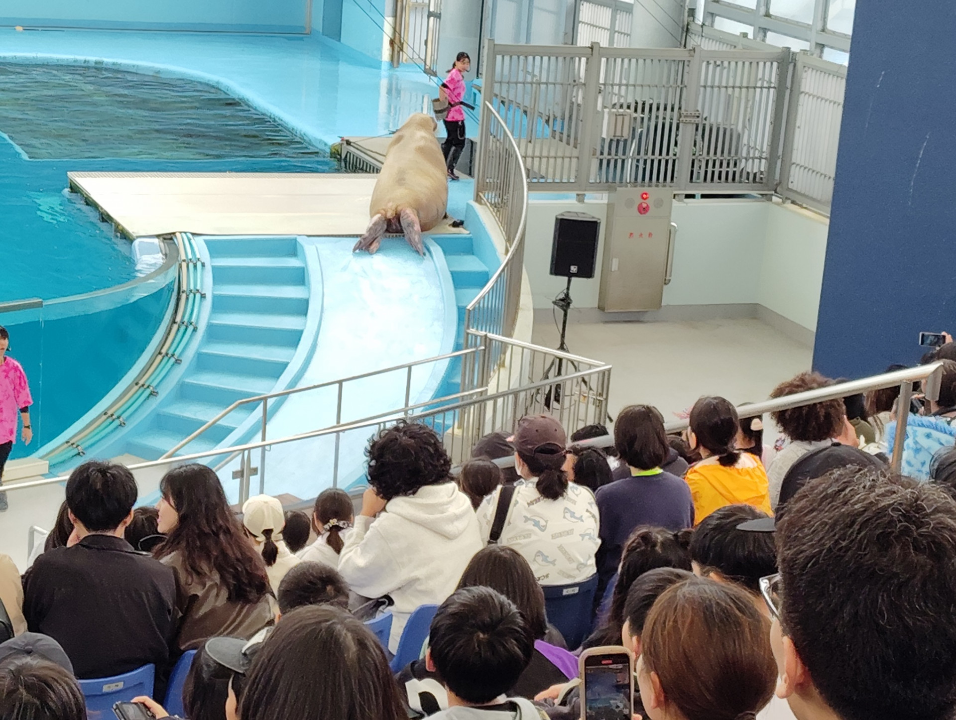 遠足