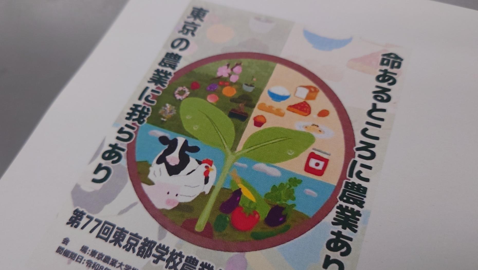 メディア