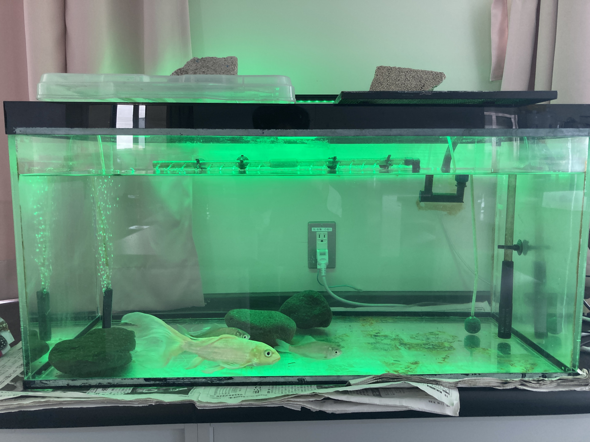 20260415_015347735_iOS