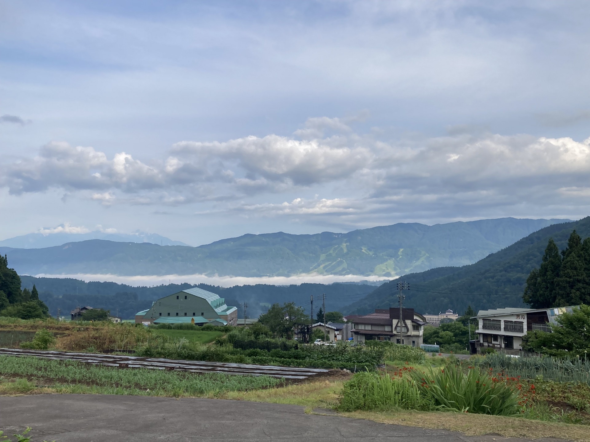 男子バレーボール部_合宿写真_野沢温泉
