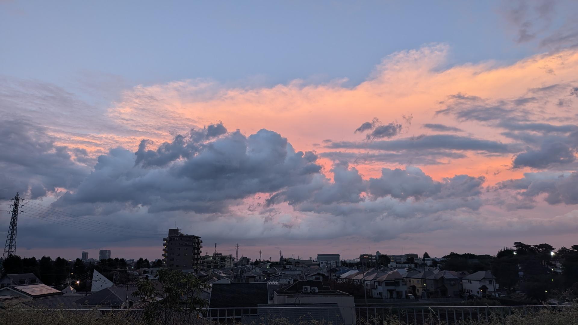 観望会