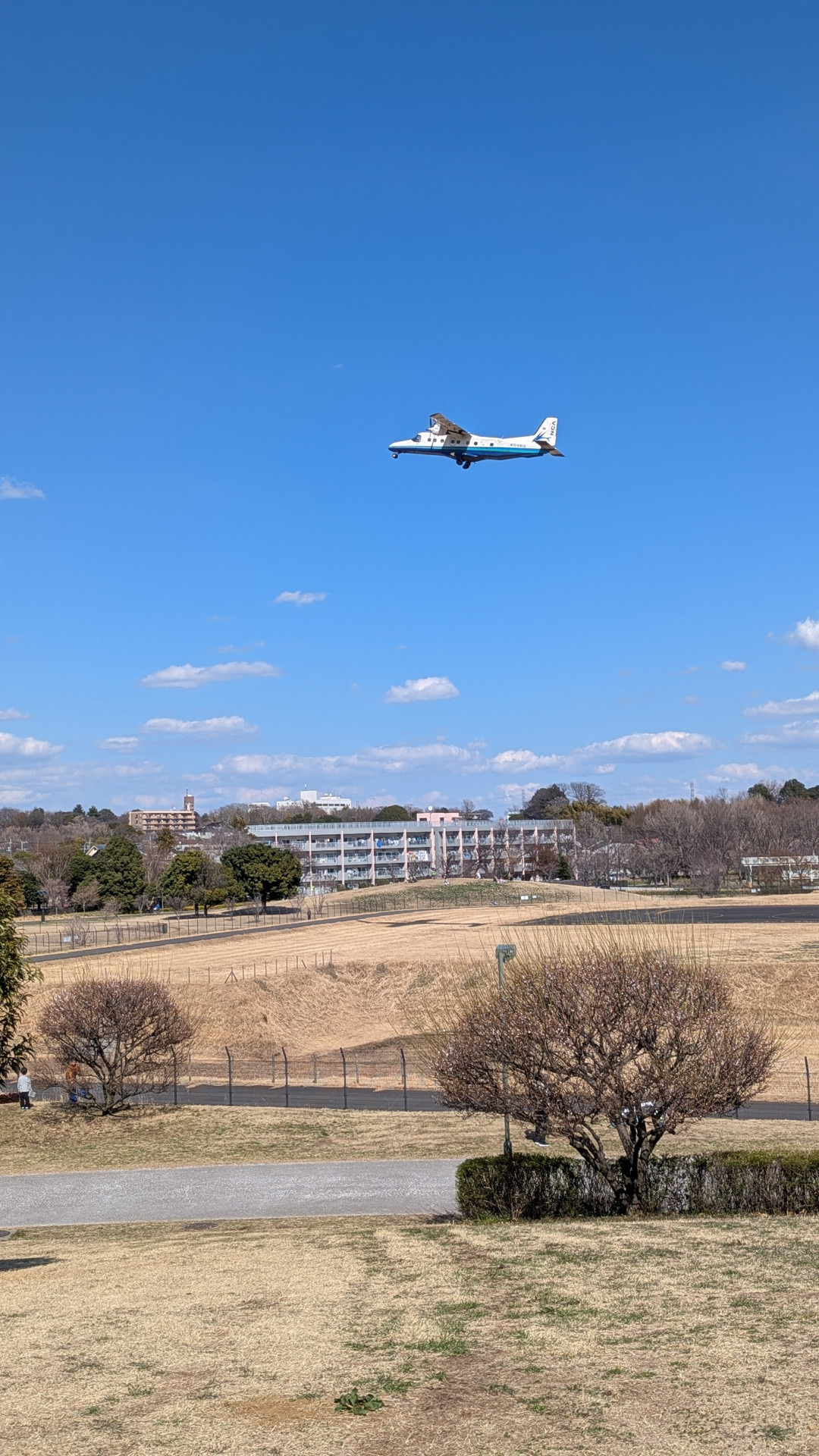 飛行機