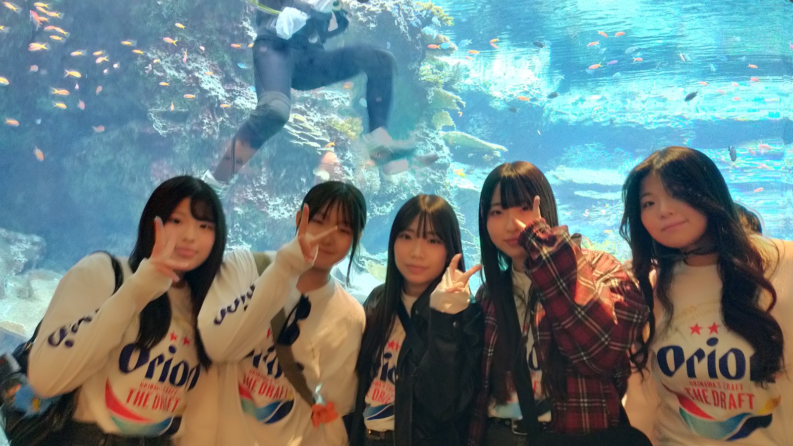 IMG20250206135313_copy_1600x900