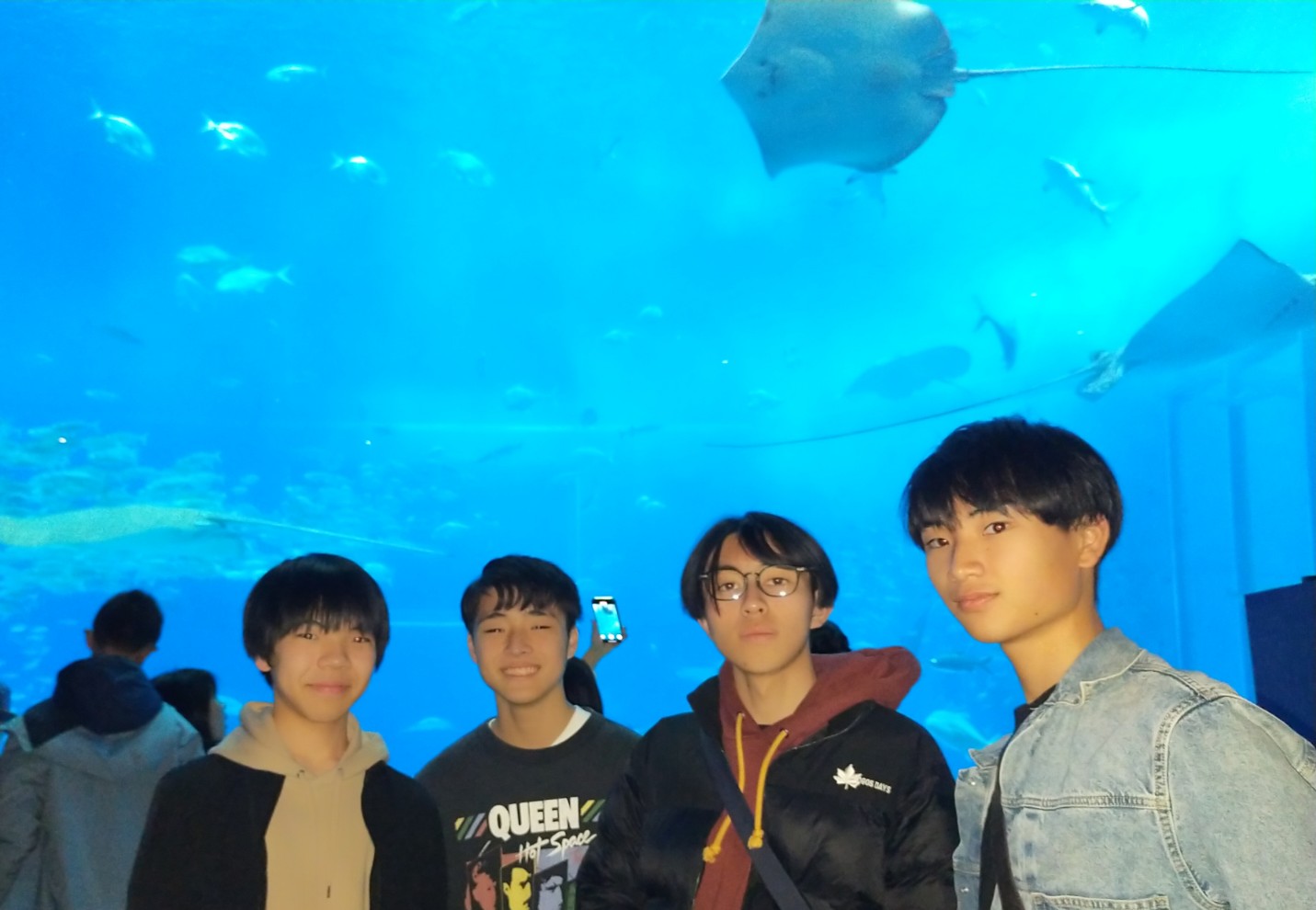 IMG_20250206_182443_copy_1431x990