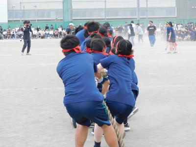 綱引き.JPG