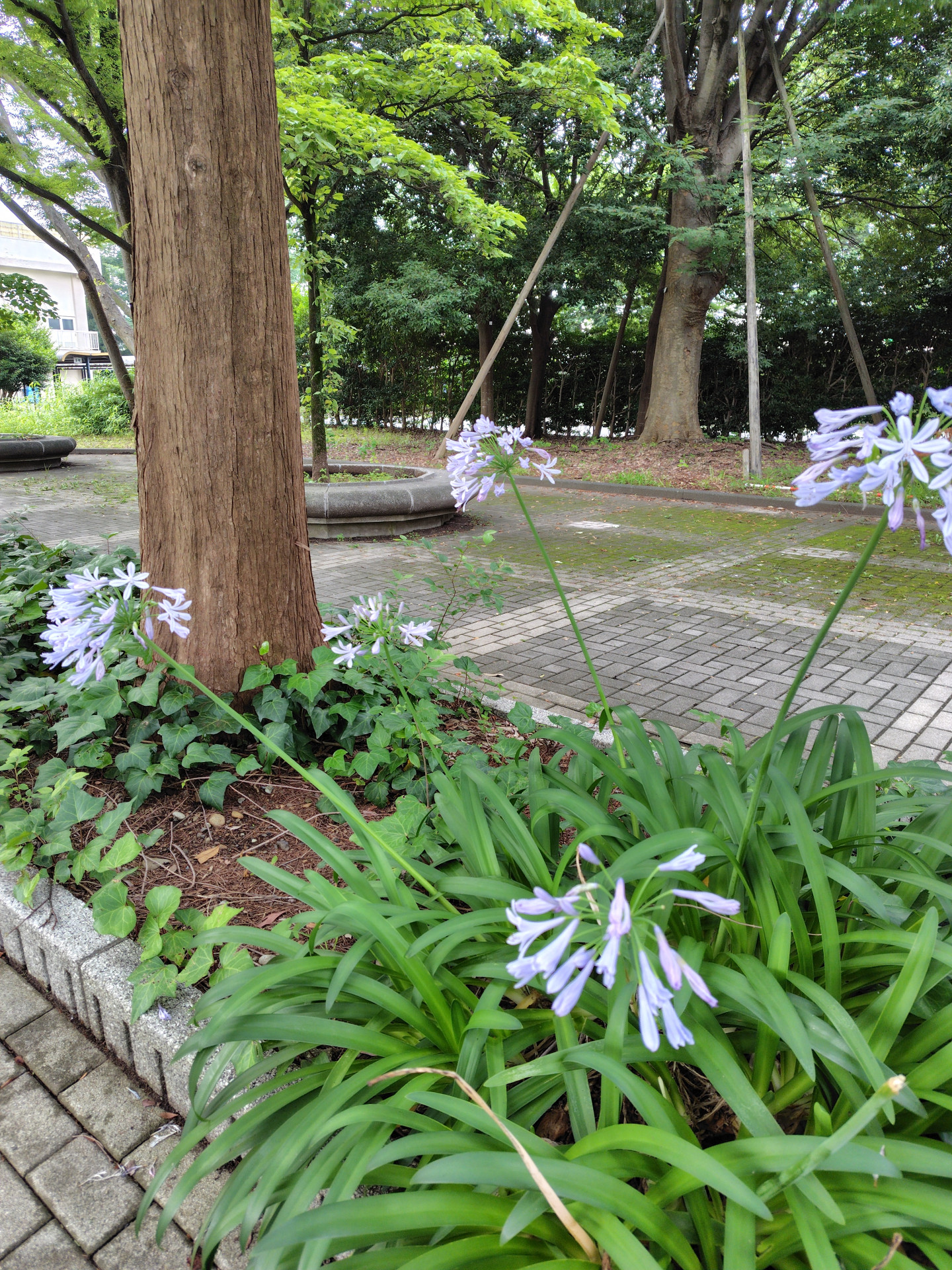 20260630-01.JPG
