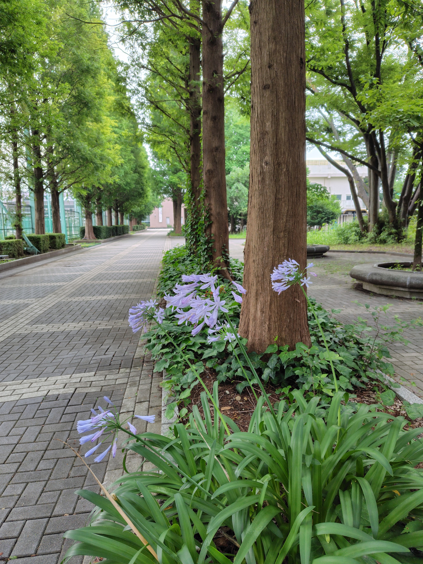 20260630-03.JPG