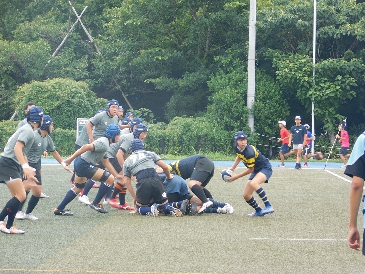 20220826_075054425_iOS