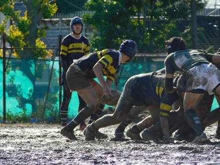 20221222_075352617_iOS