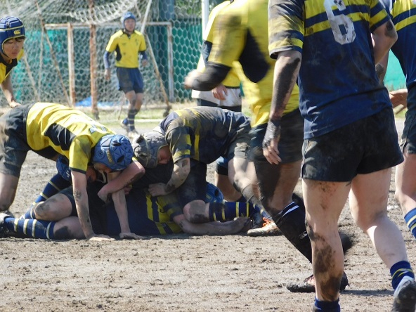 20230319_120306349_iOS