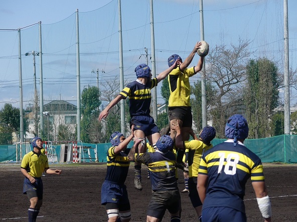 20230323_081010950_iOS