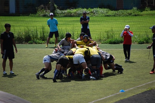 20230809_071158312_iOS