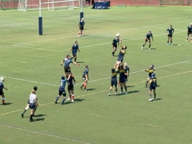 20250428_072028695_iOS