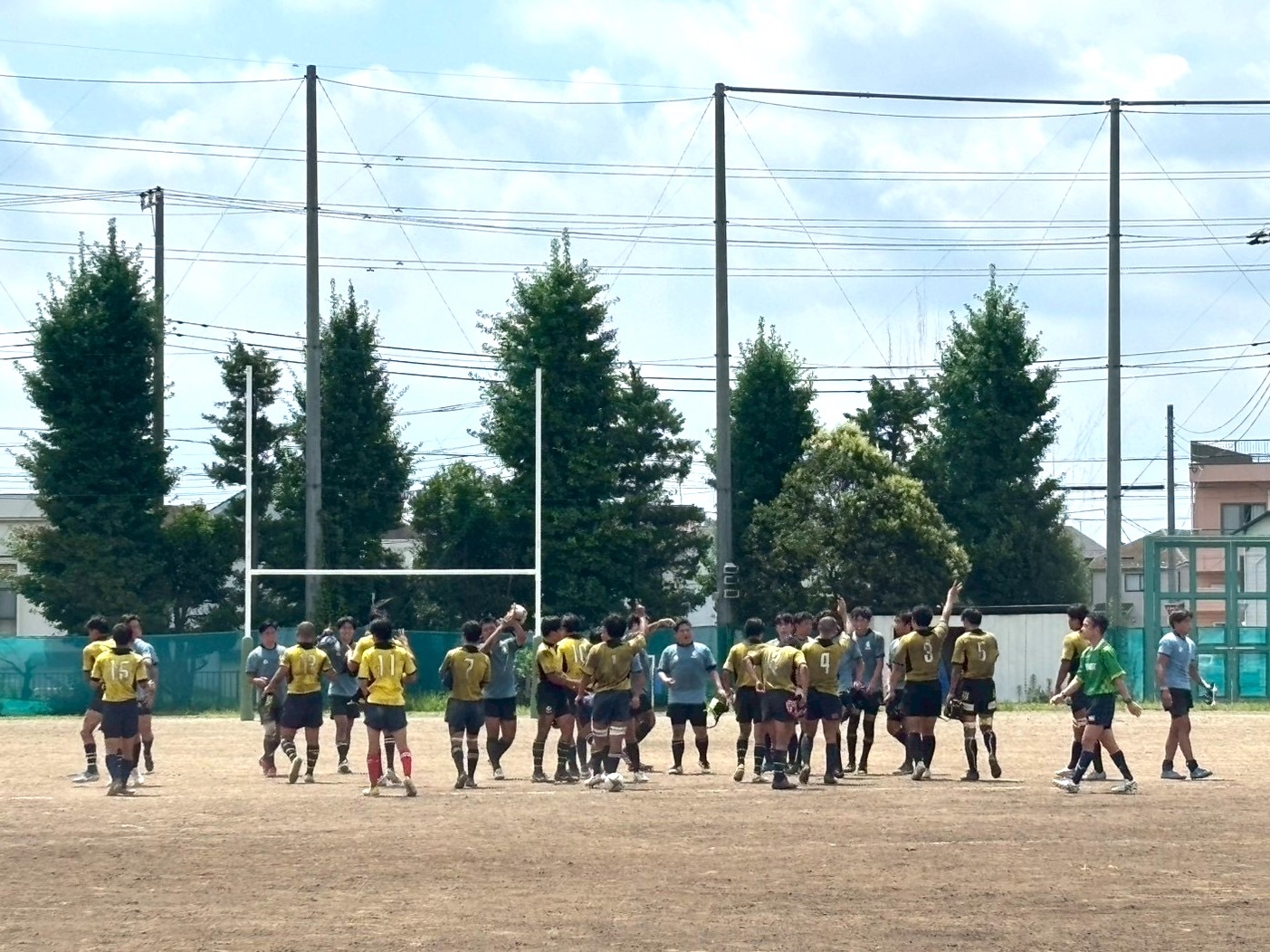 20250713_115053296_iOS