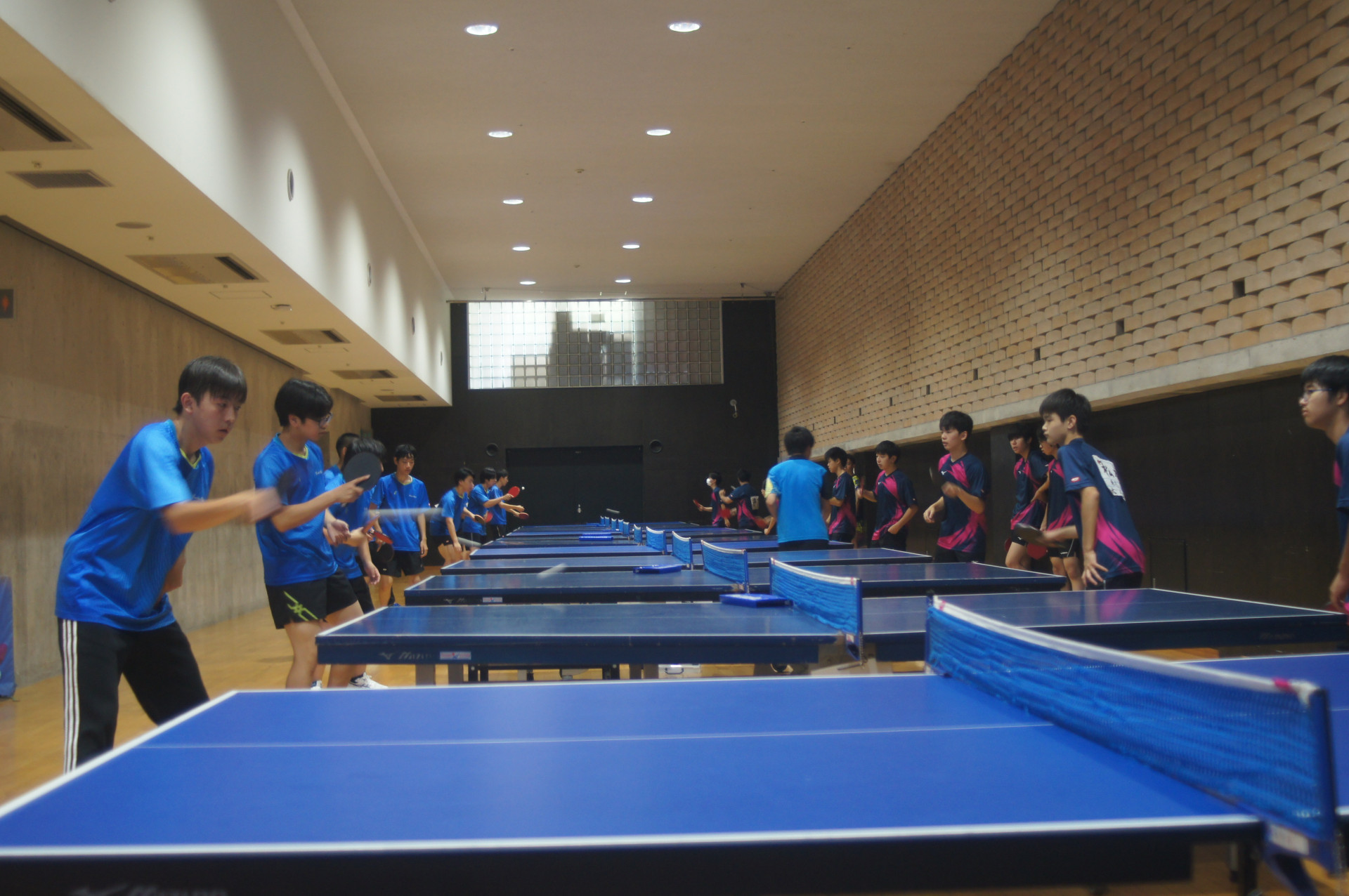 DSC08633.JPG