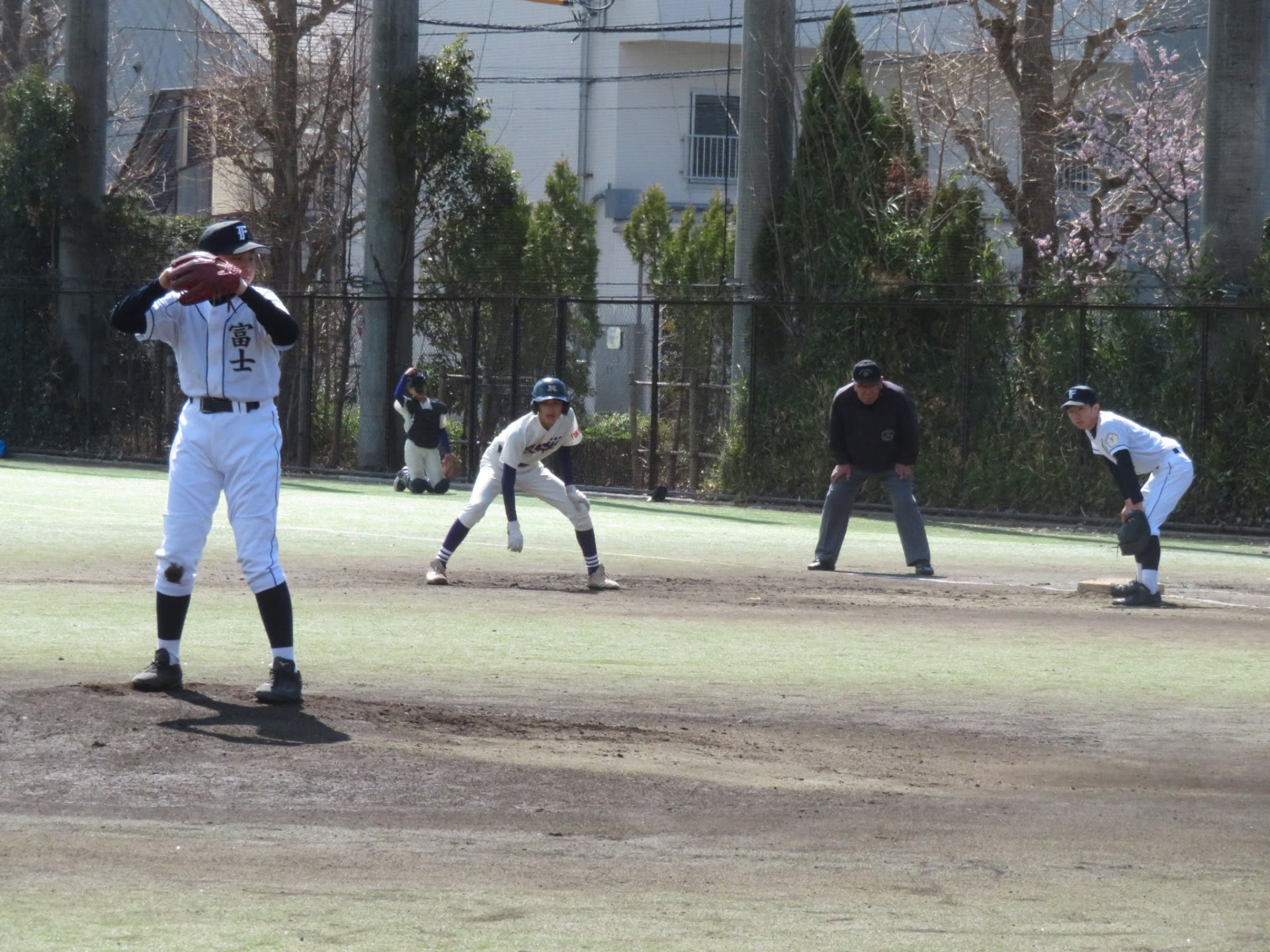 20250320123810_IMG_7397.JPG