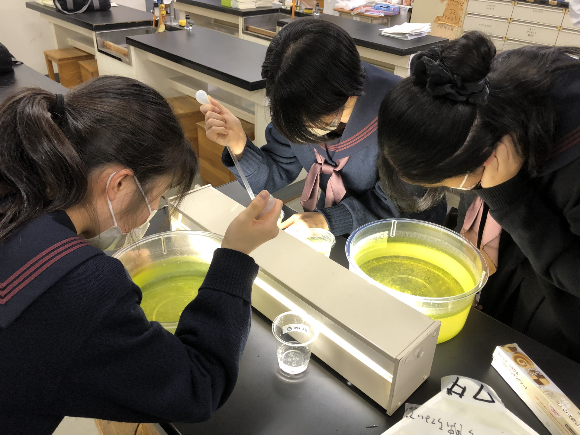 20251210ラボ活動（自然）1