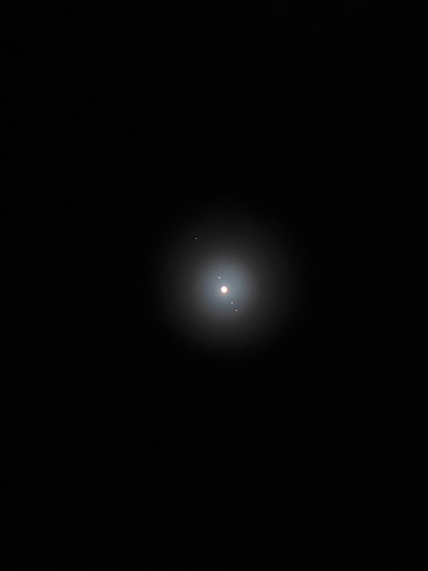 241226192717004.JPG