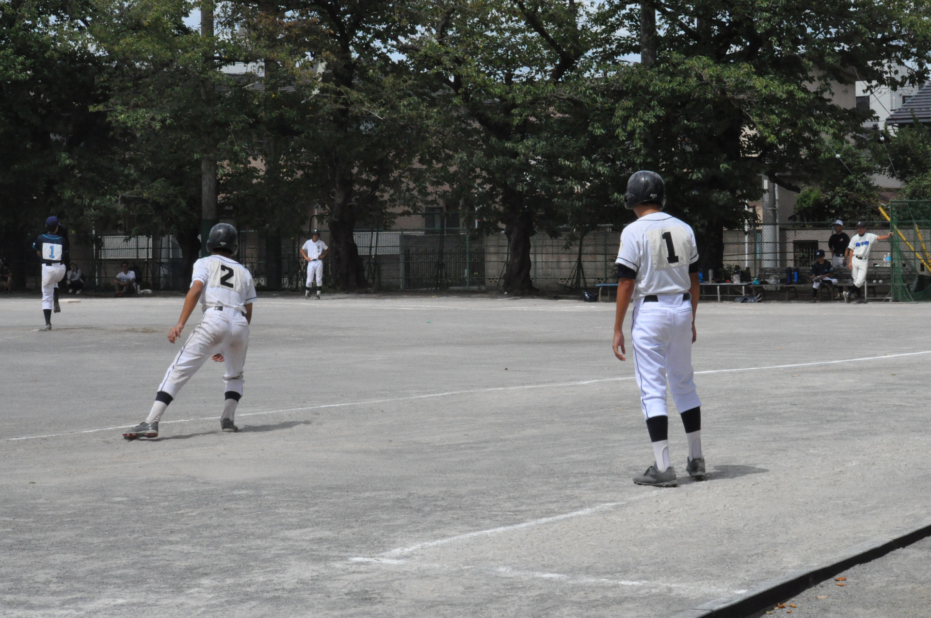 DSC_2178.JPG