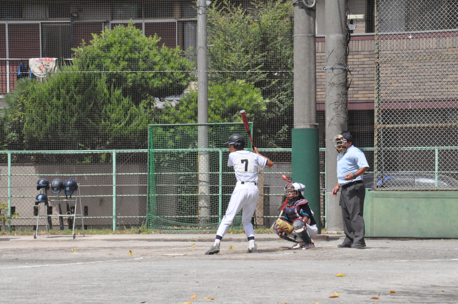DSC_2216.JPG