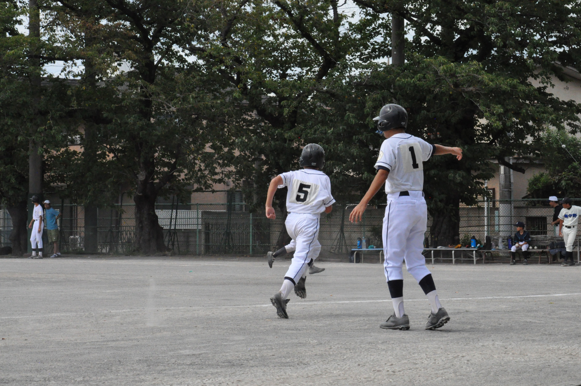 DSC_2354.JPG