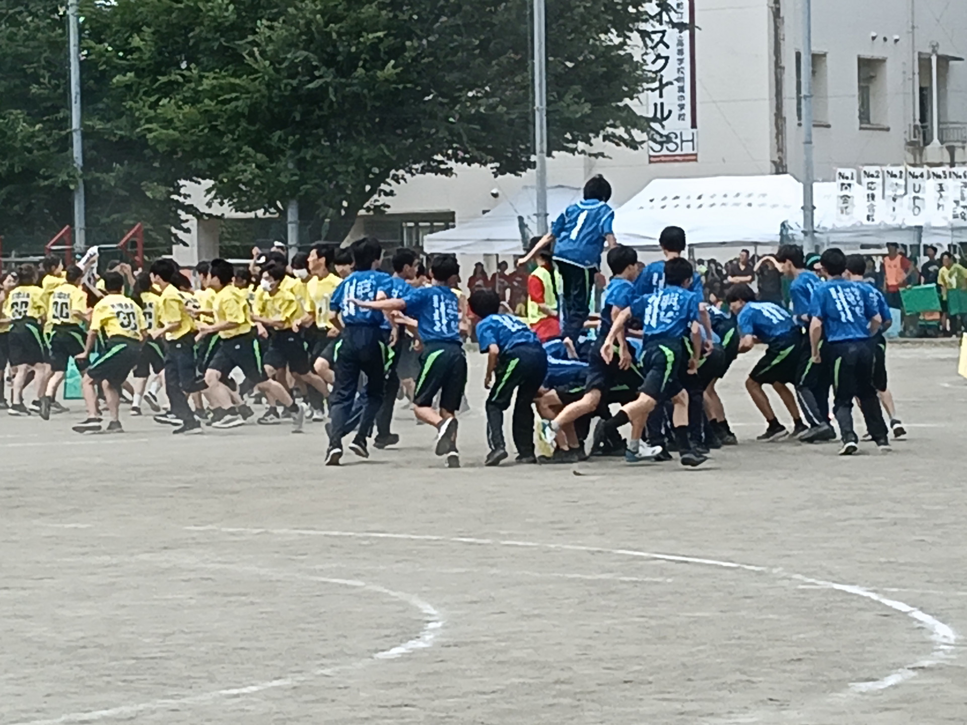 IMG20260529110033