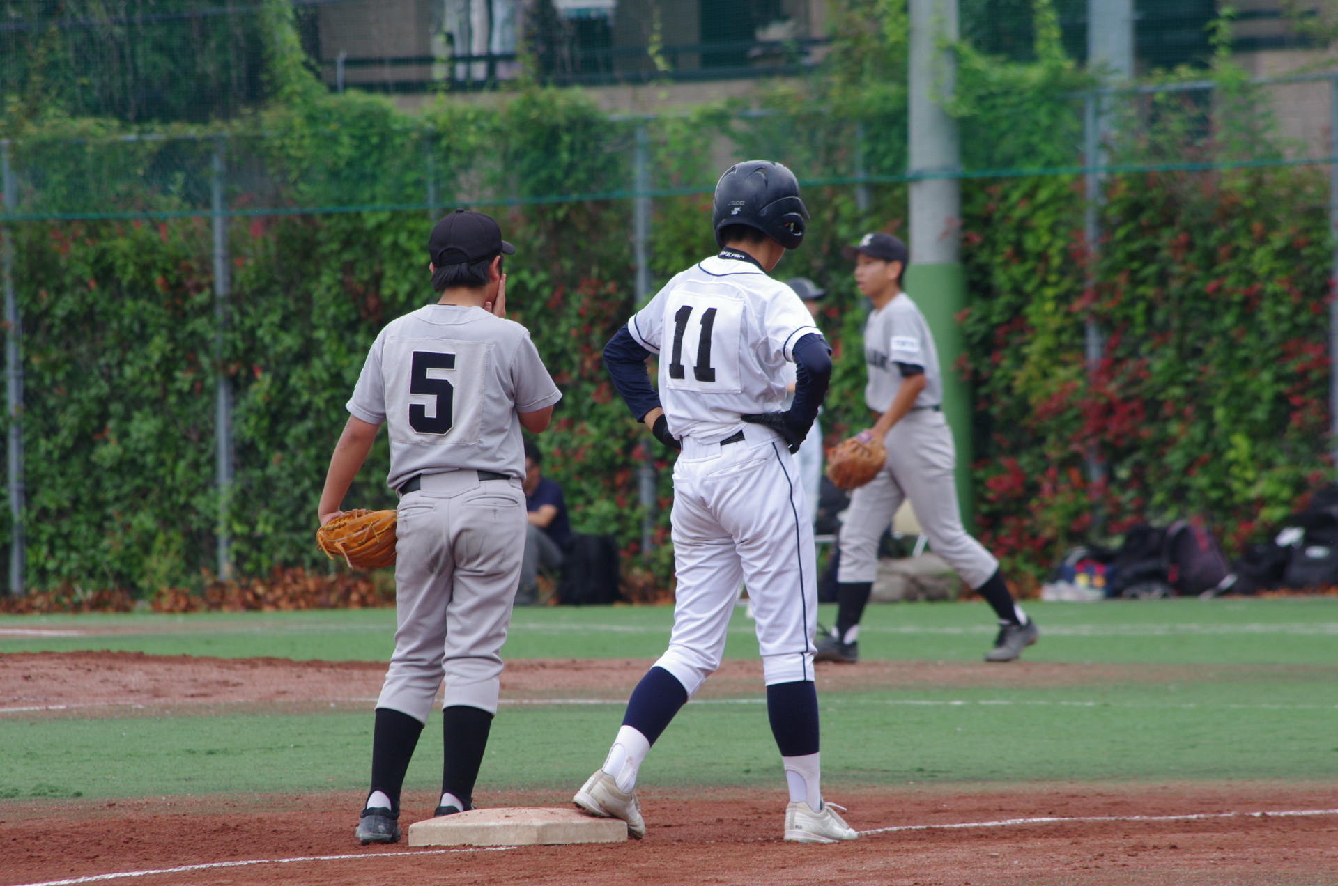 IMGP5704.JPG