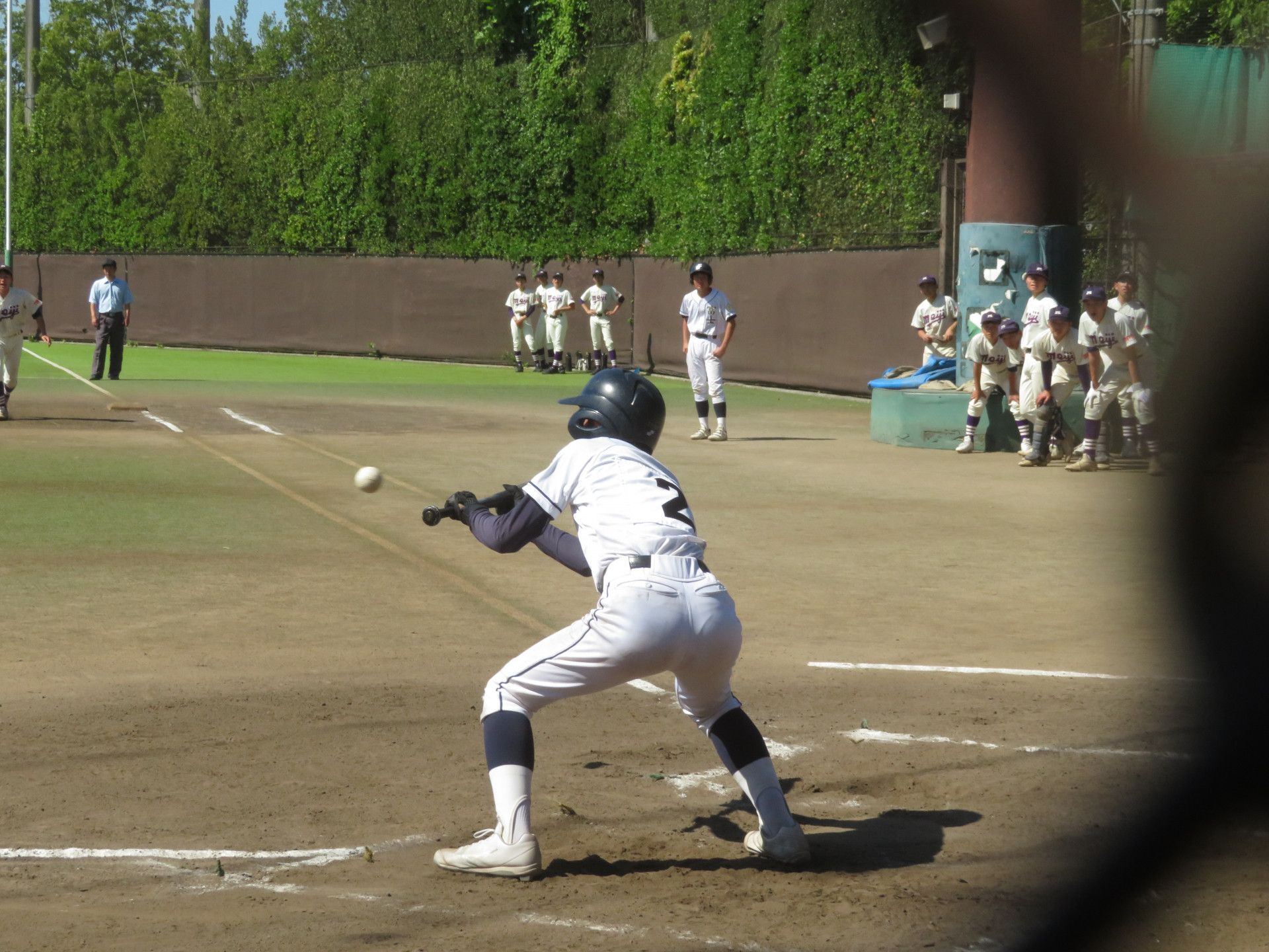 IMG_4185.JPG