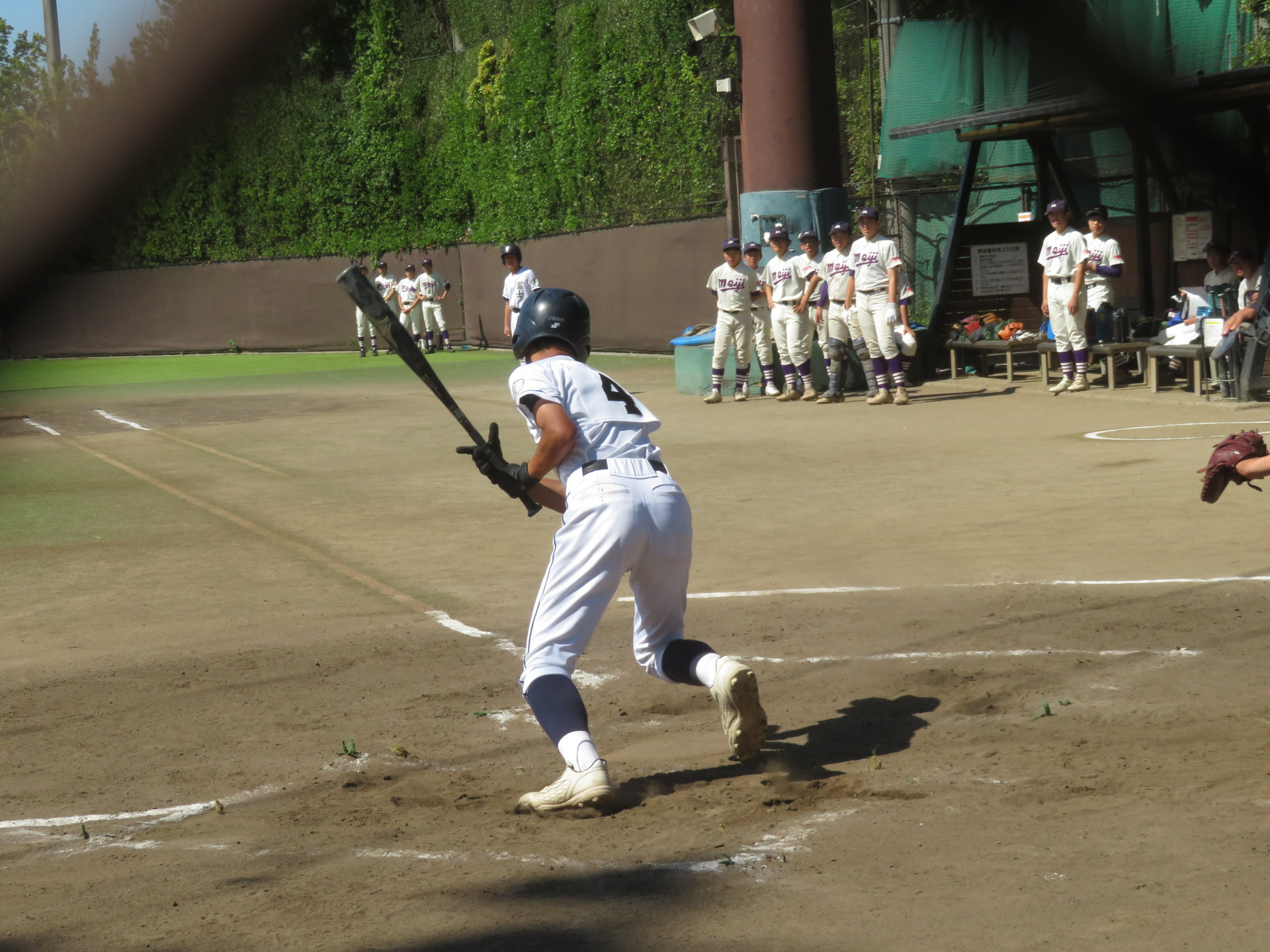 IMG_4215.JPG