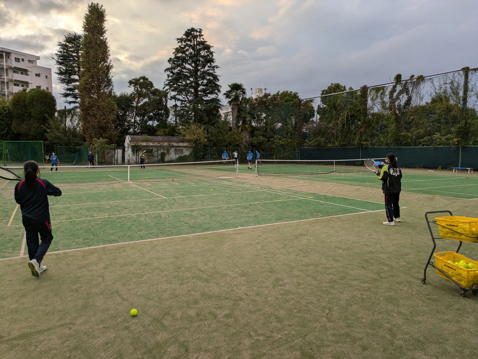 中学テニス部